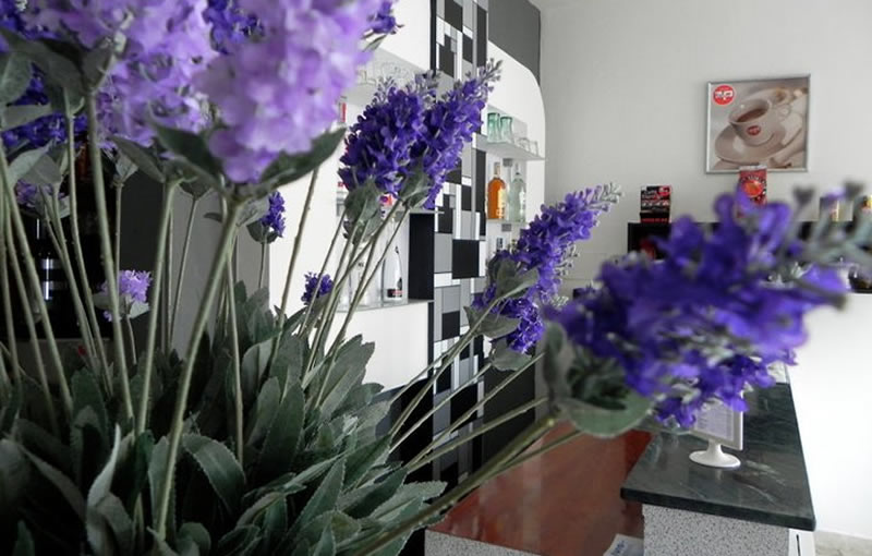 hotel 2 stelle riccione