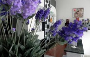 hotel 2 stelle riccione